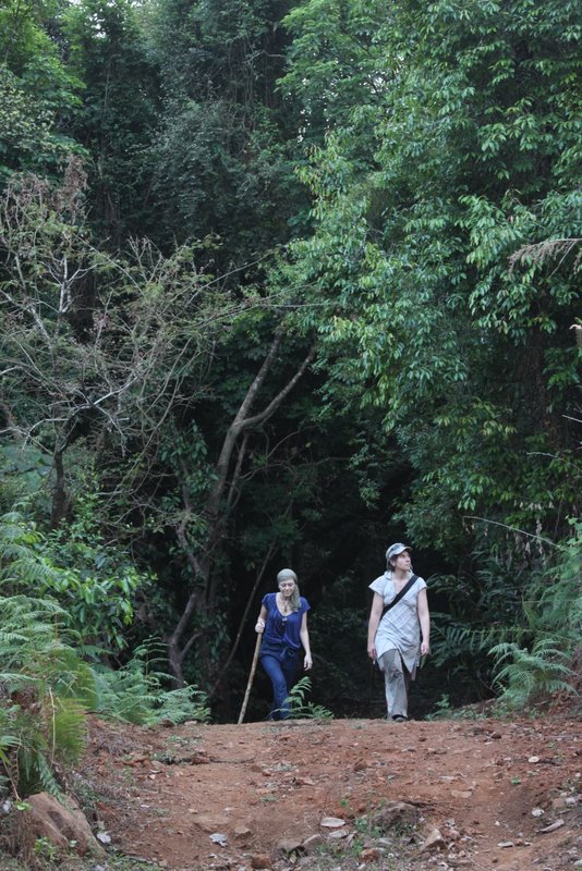 India 2010 - Coorg - Honey Valley - Trek to the Swimming Hole